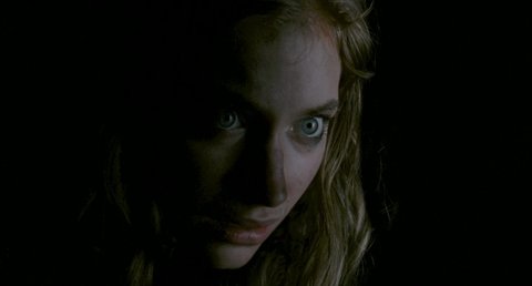Shot 1982