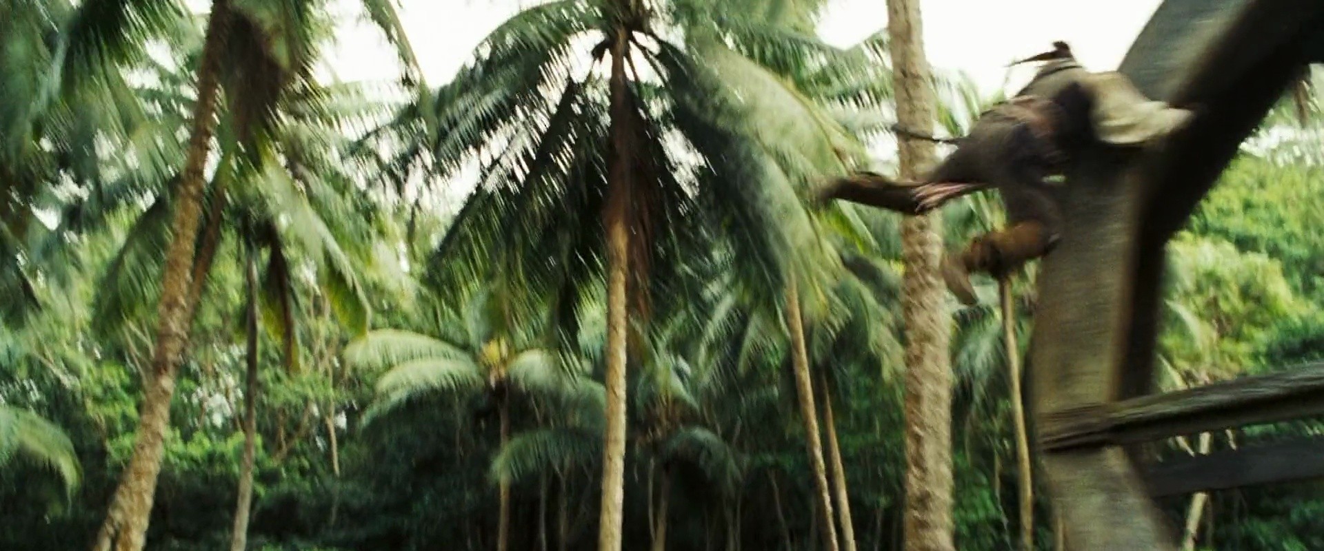 Shot 2008
