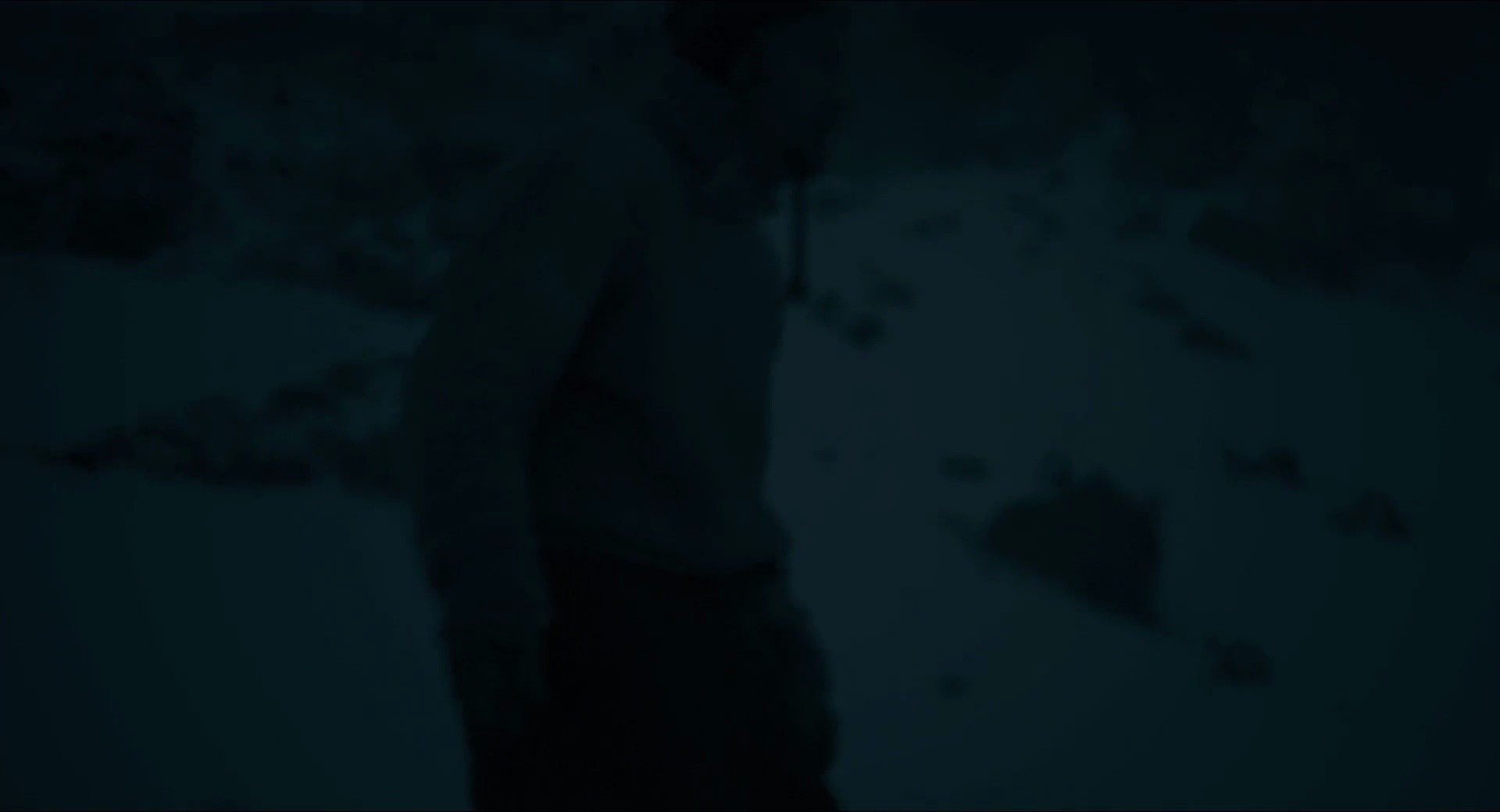 Shot 311