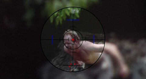 Shot 589