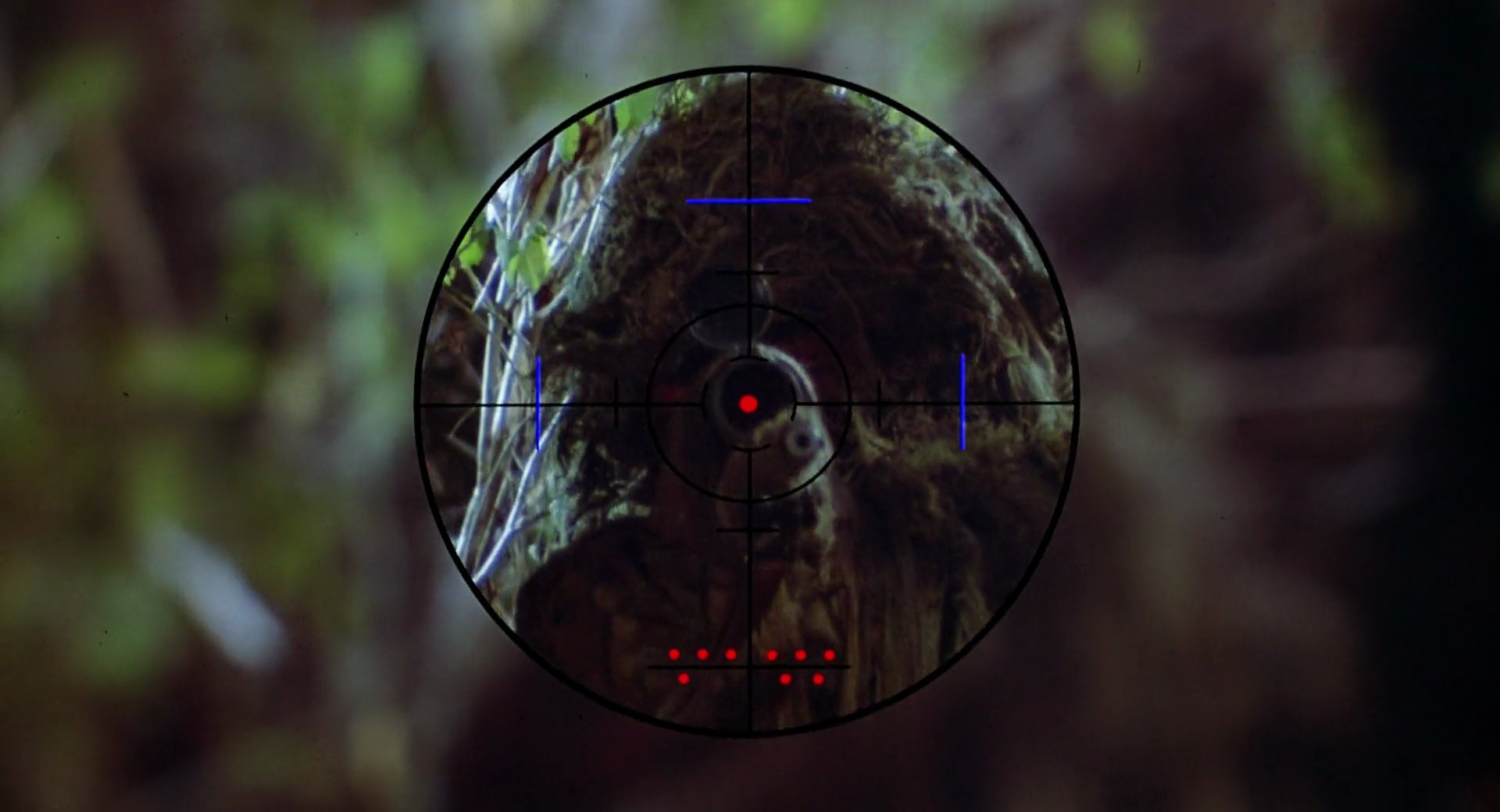Shot 976