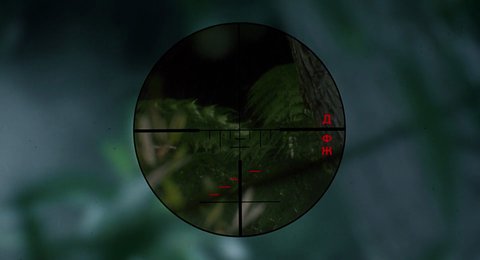 Shot 877