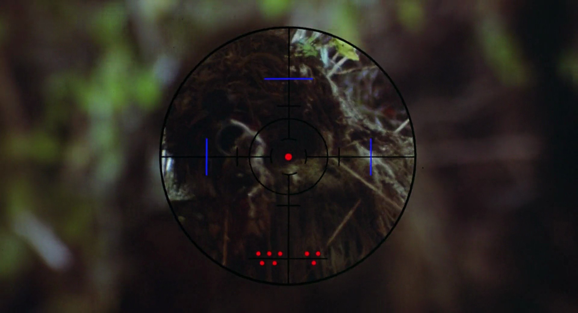 Shot 972