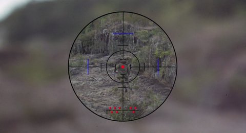 Shot 330