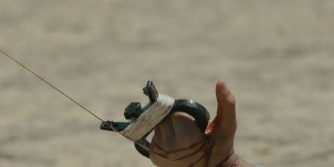 Shot 670