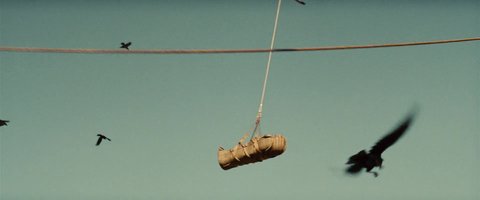 Shot 497