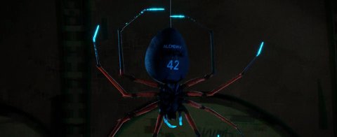 Shot 296