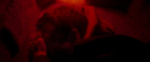 Shot 1248