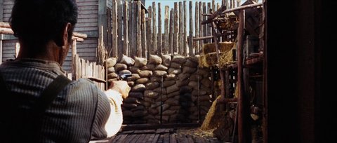 Shot 366