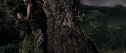 Shot 3075