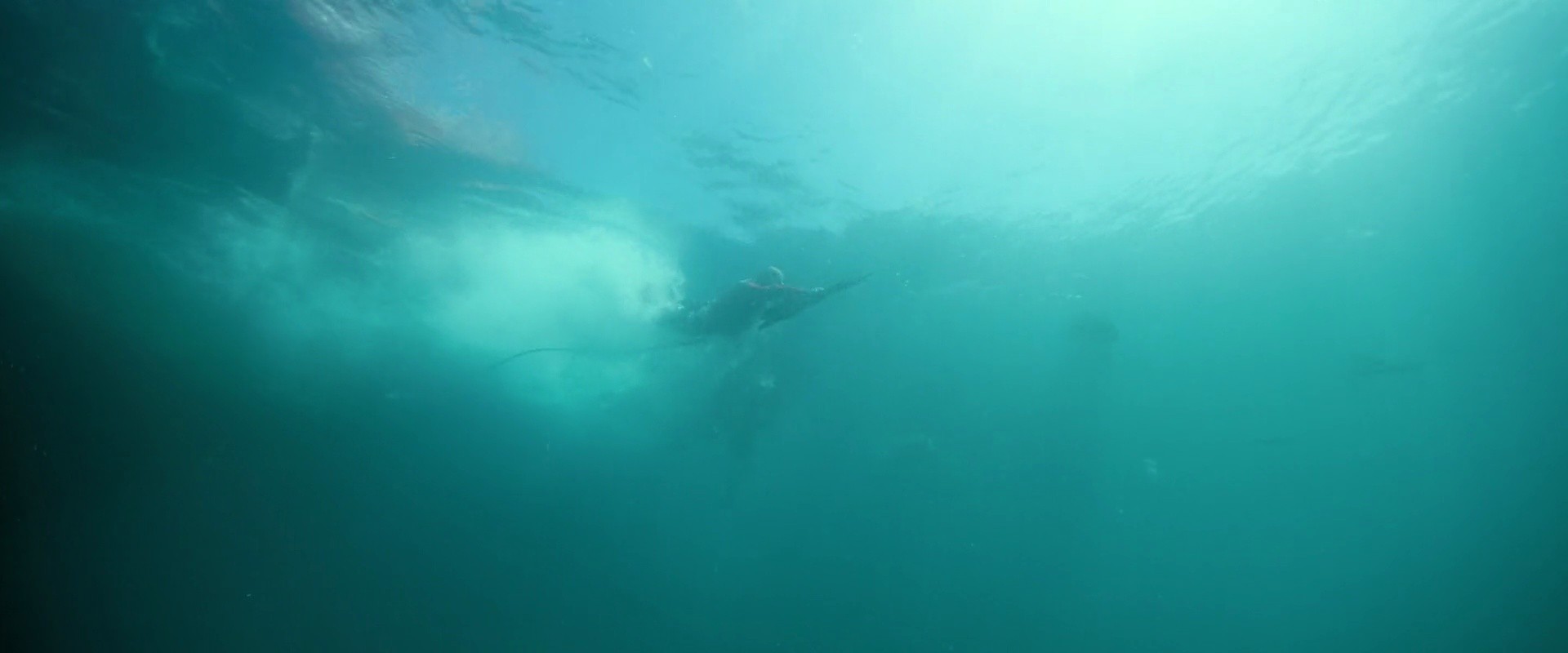 Shot 1231