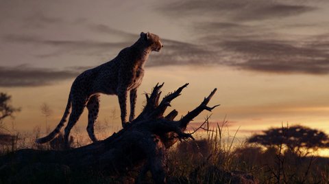 Shot 8