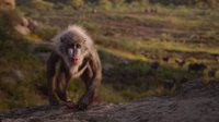 Shot 27