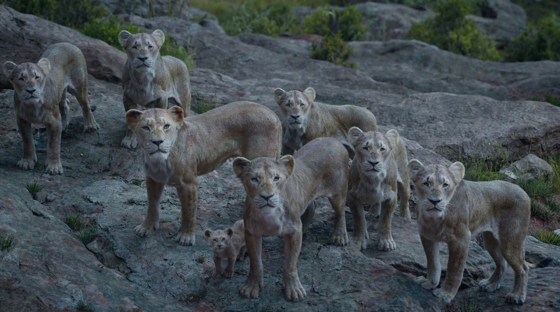 Shot 611