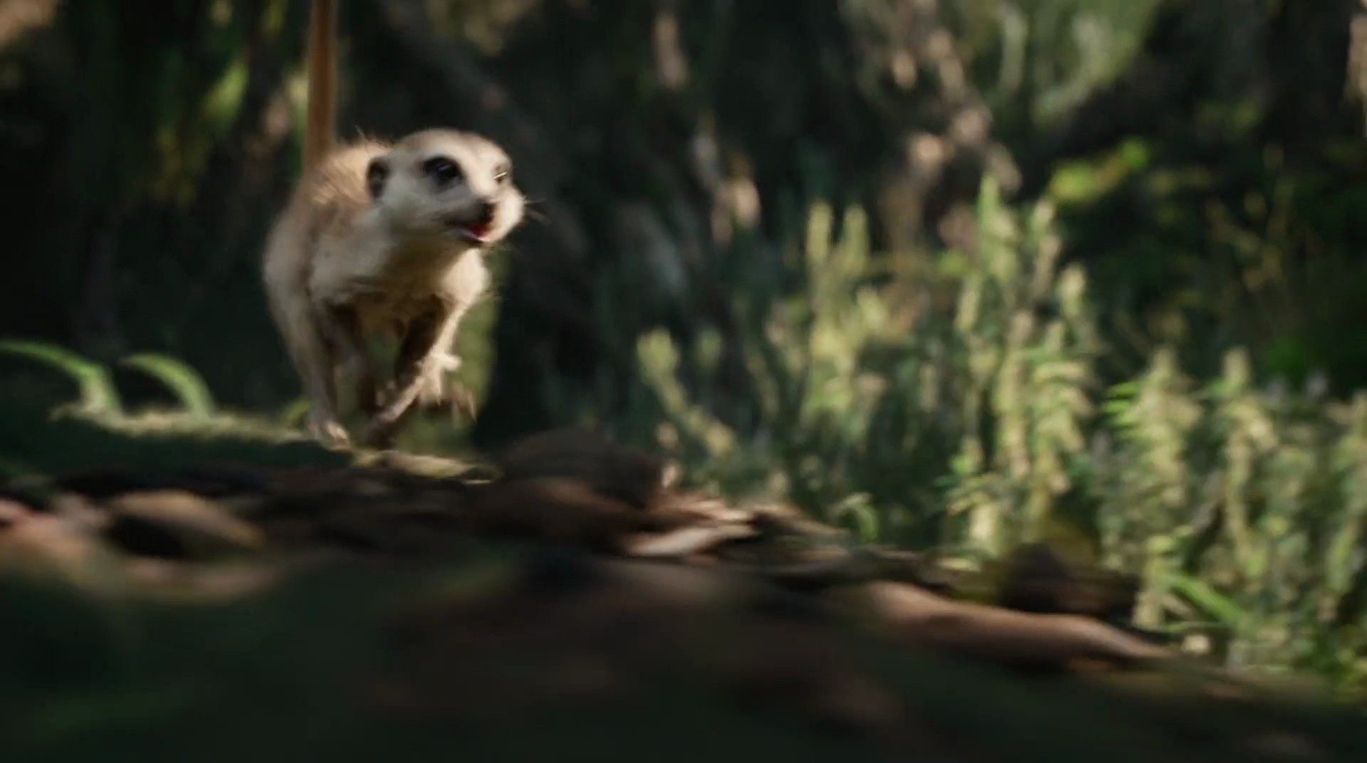 Shot 864