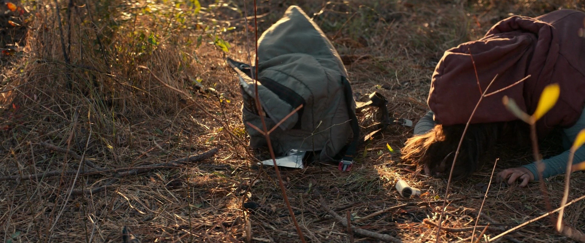 Shot 456