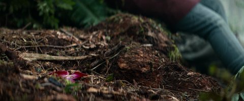 Shot 626