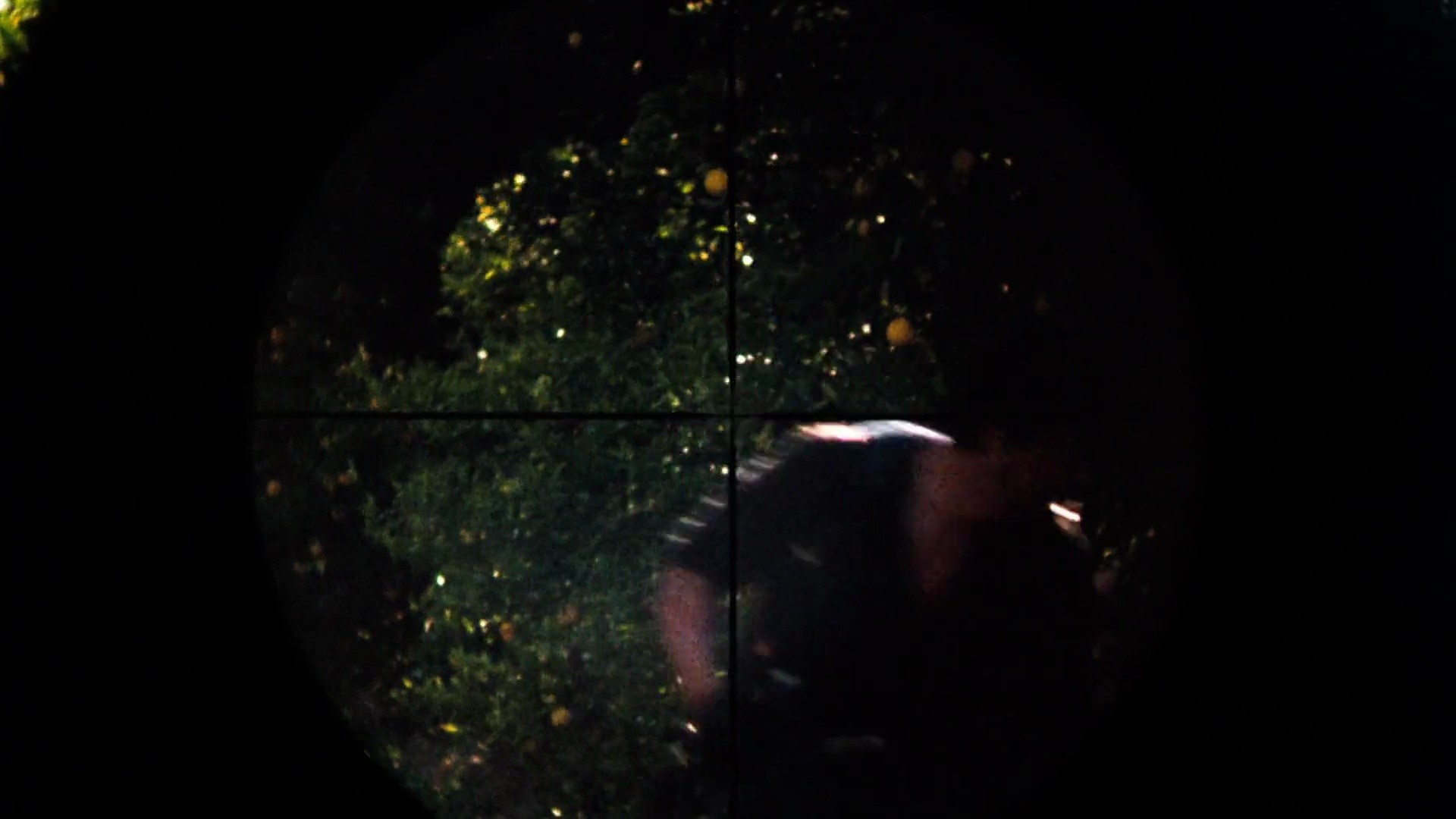 Shot 1619