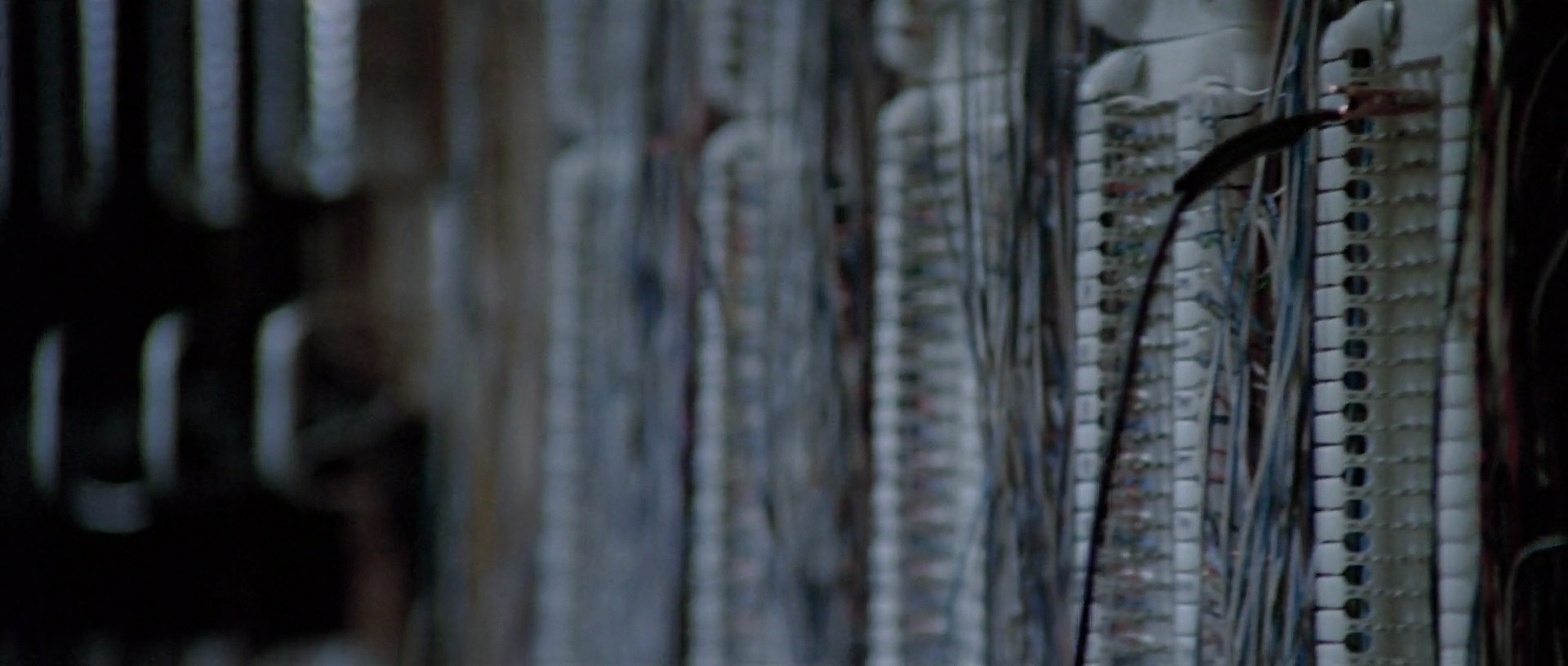 Shot 1142