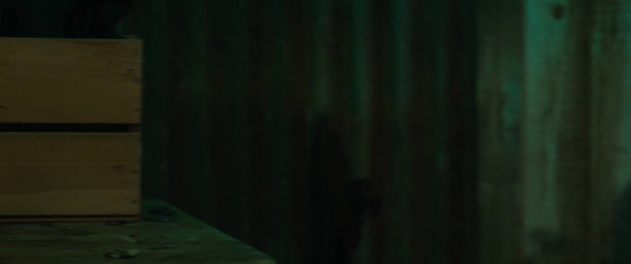 Shot 1277