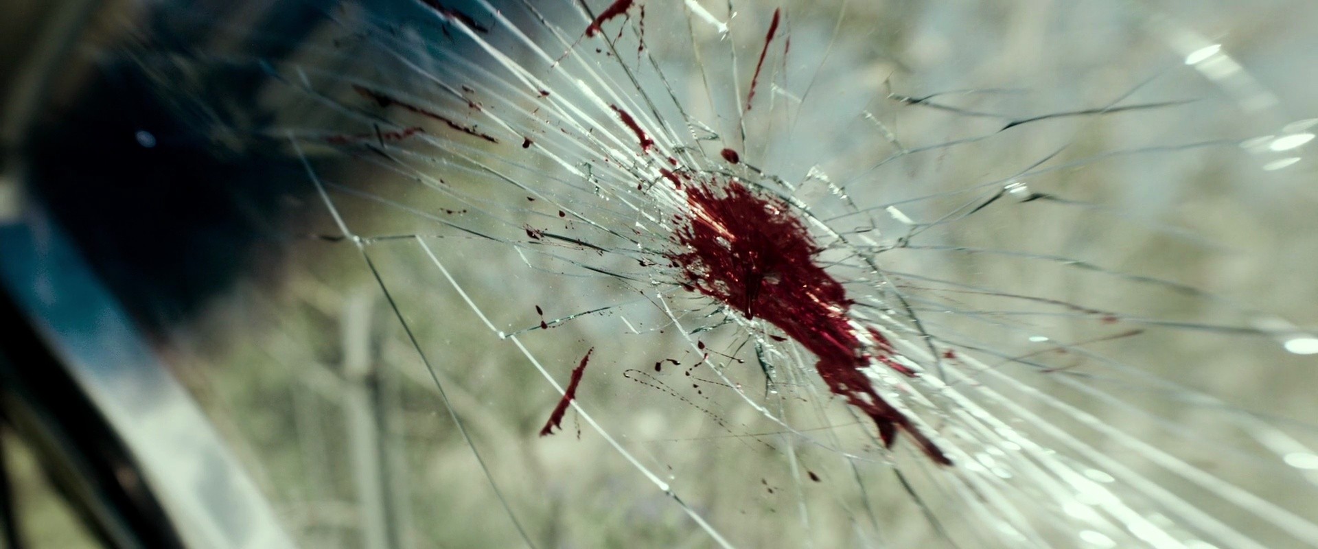 Shot 246