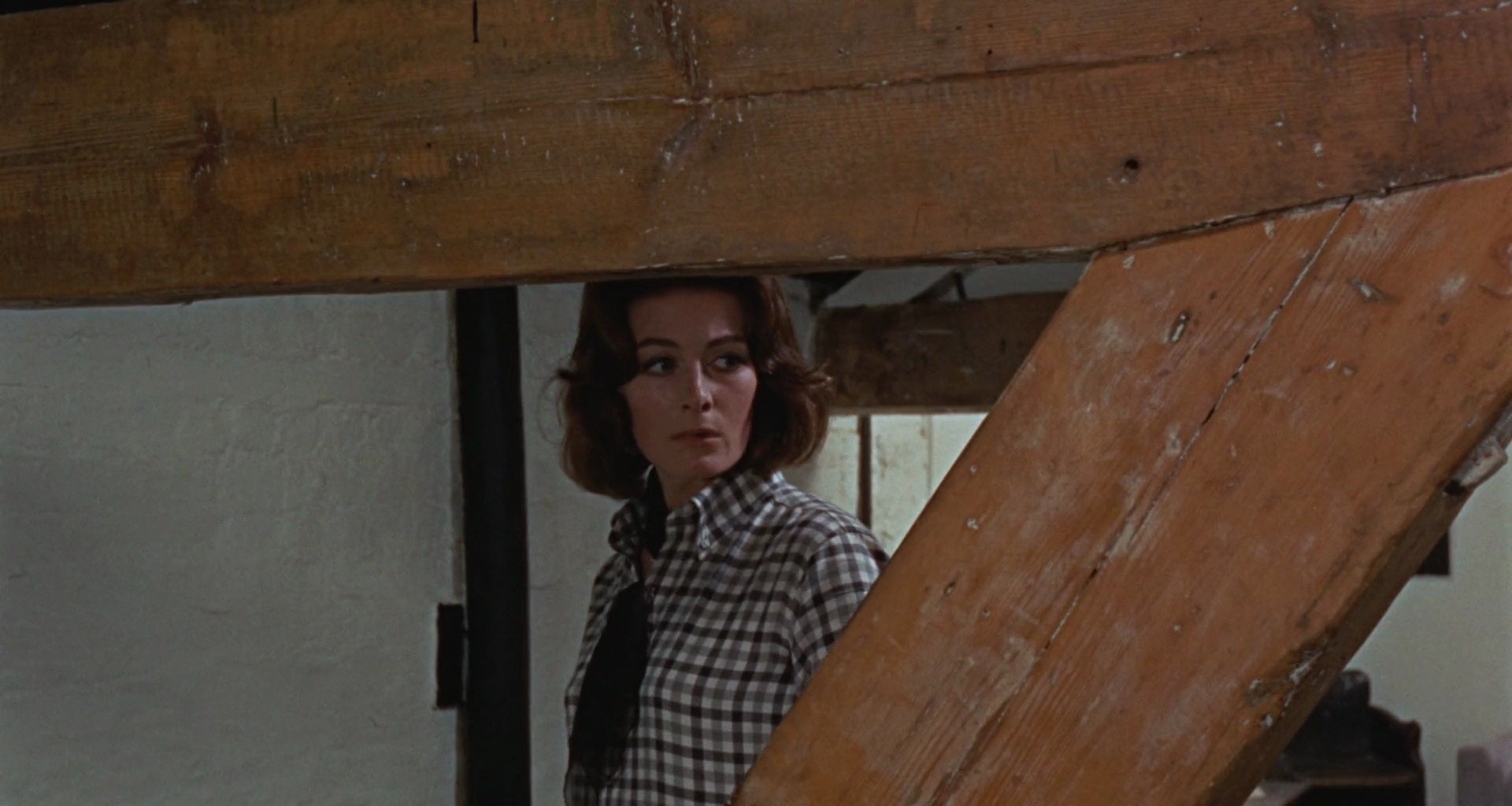 Shot 538