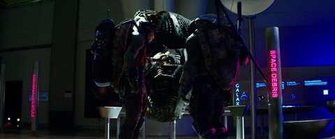 Shot 1346