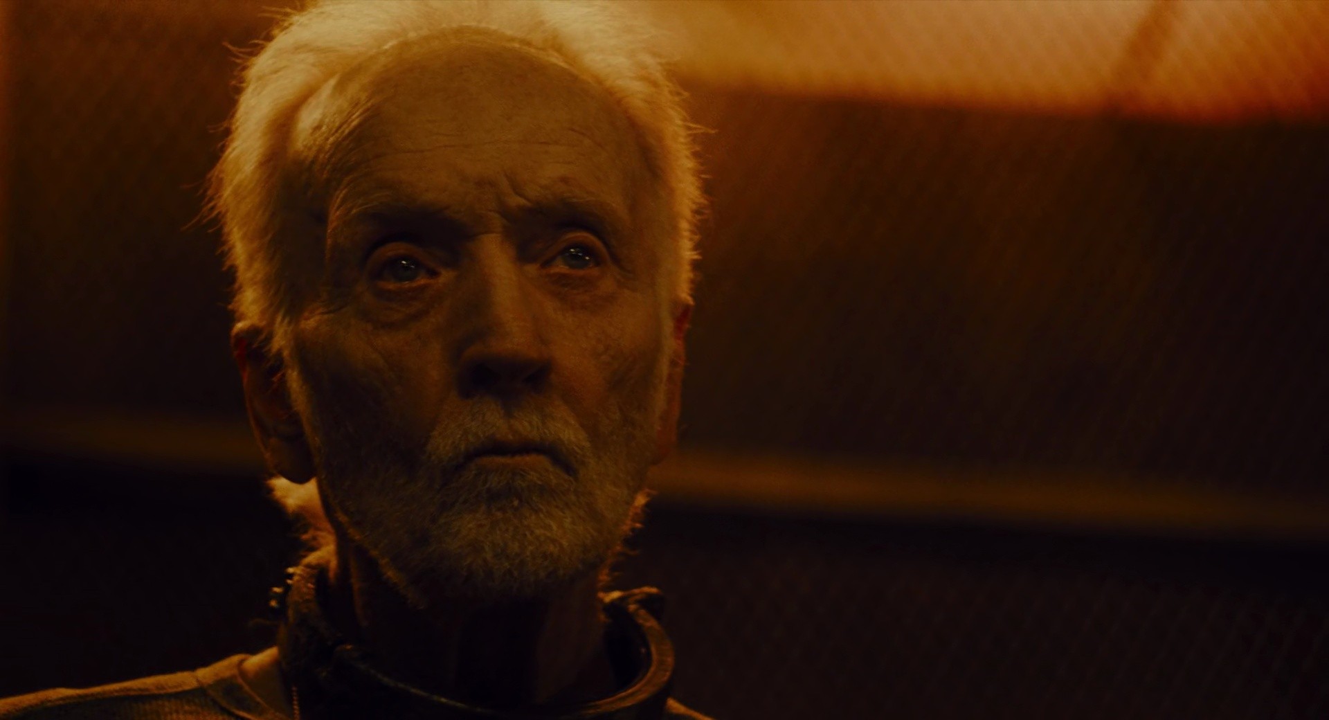 Shot 2066
