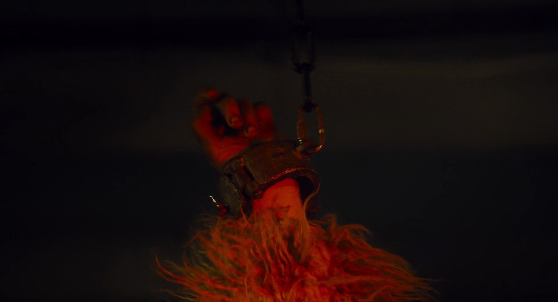 Shot 1897