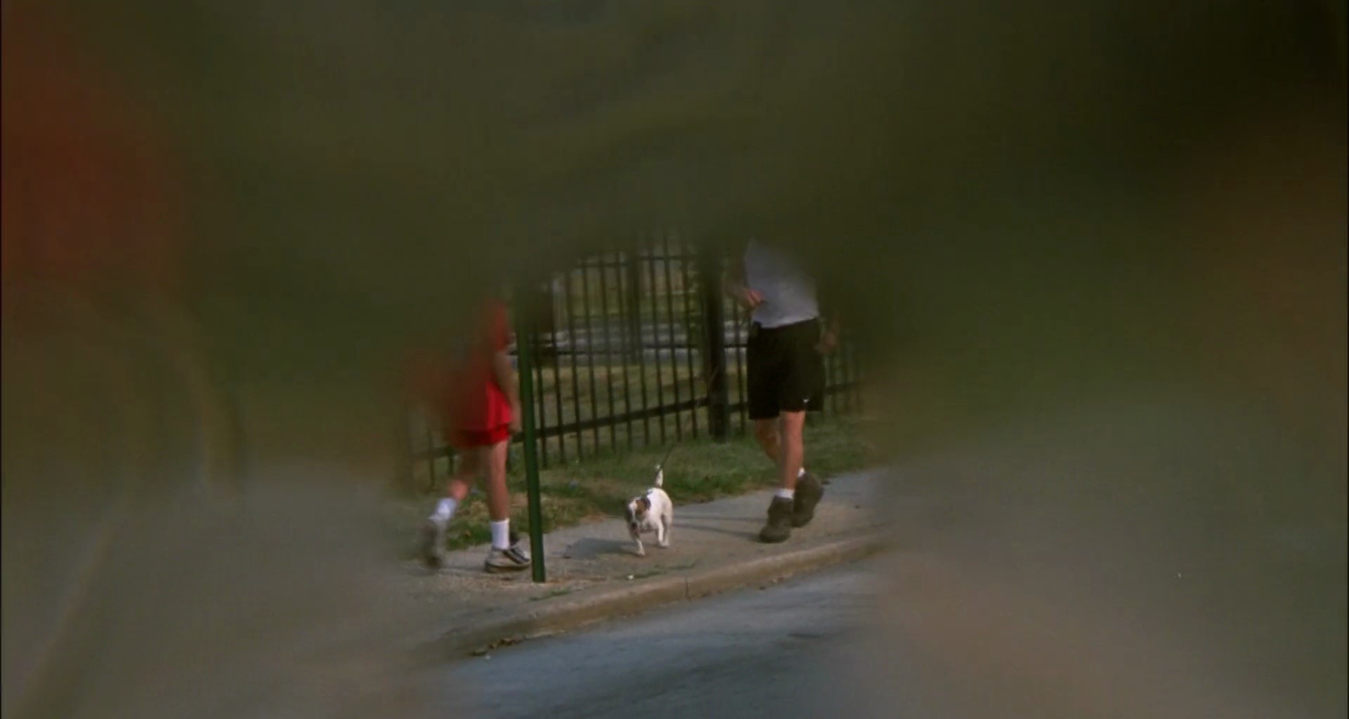 Shot 651
