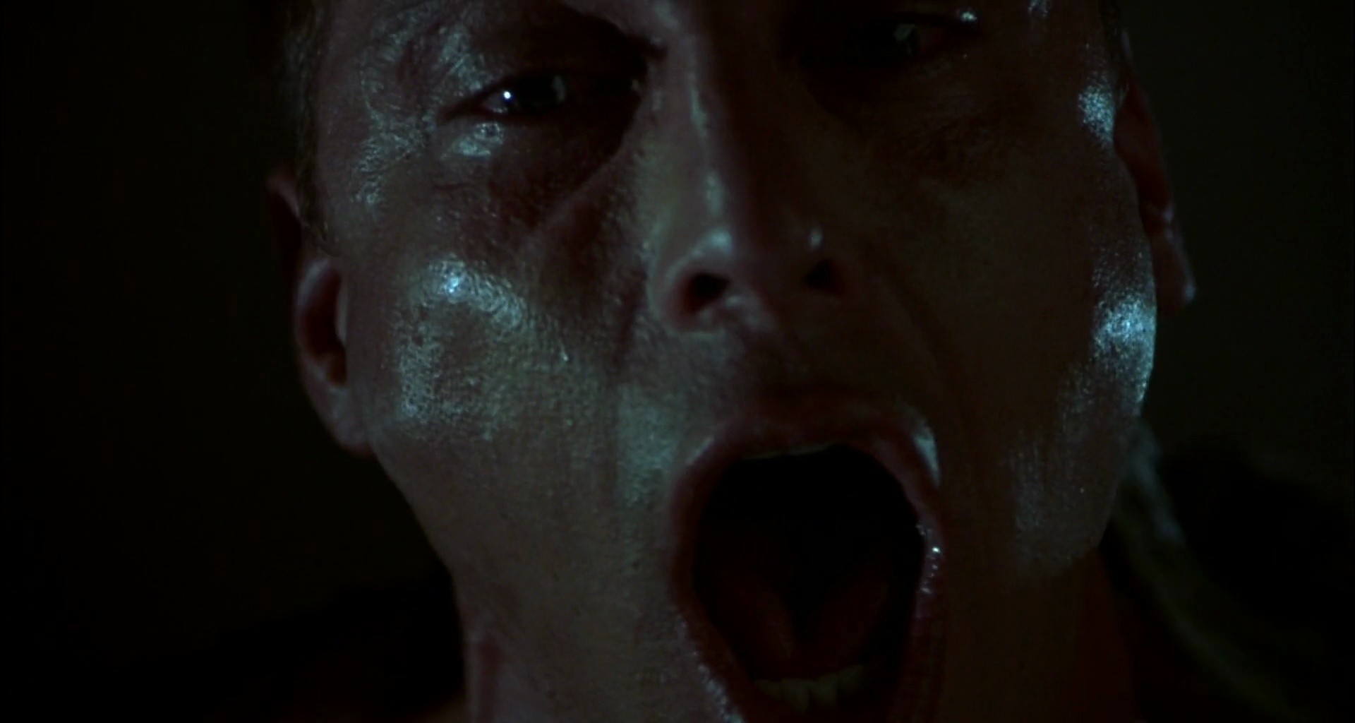 Shot 254