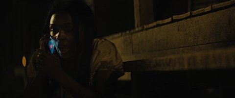 Shot 798