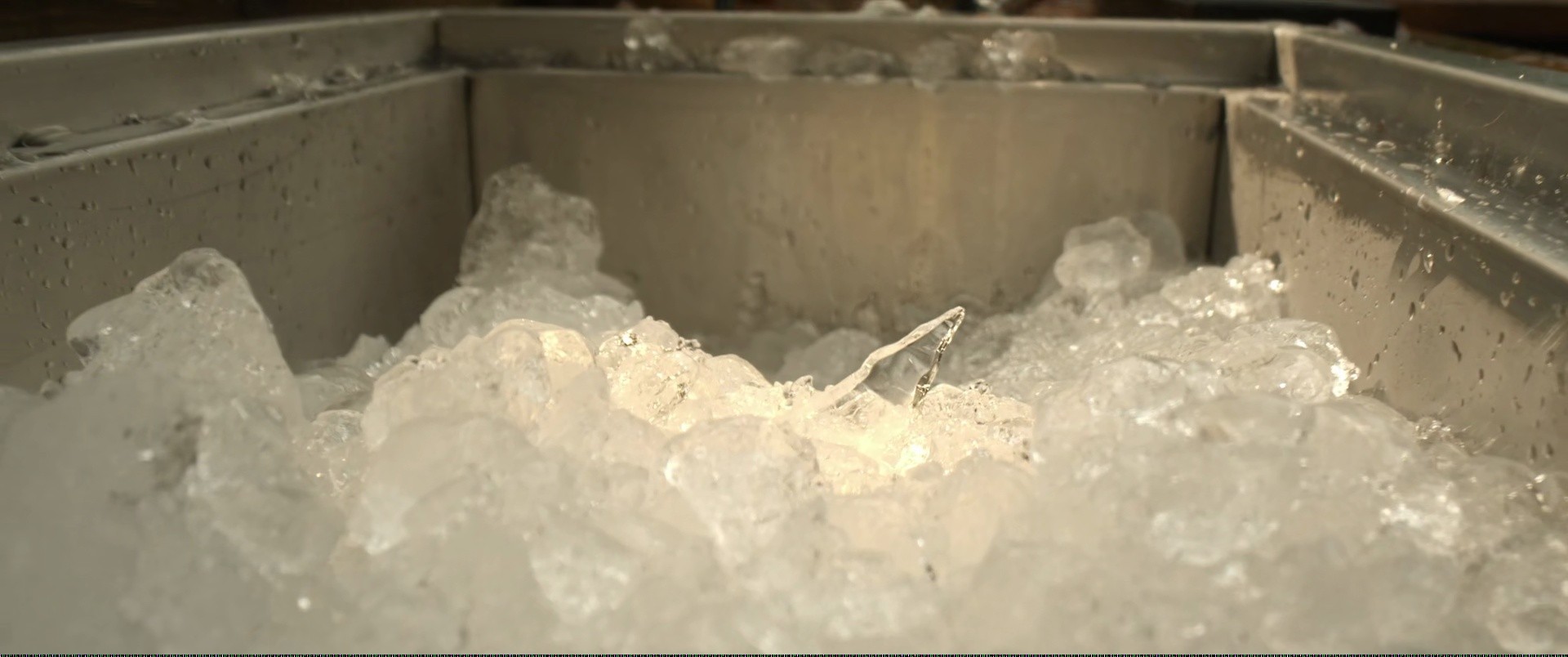 Shot 791