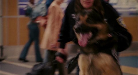 Shot 1078