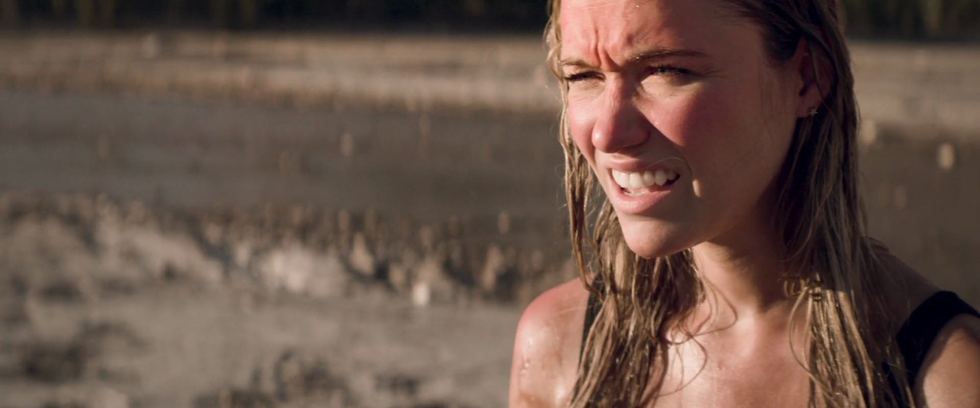 Shot 740