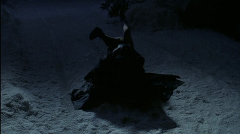 Shot 1667