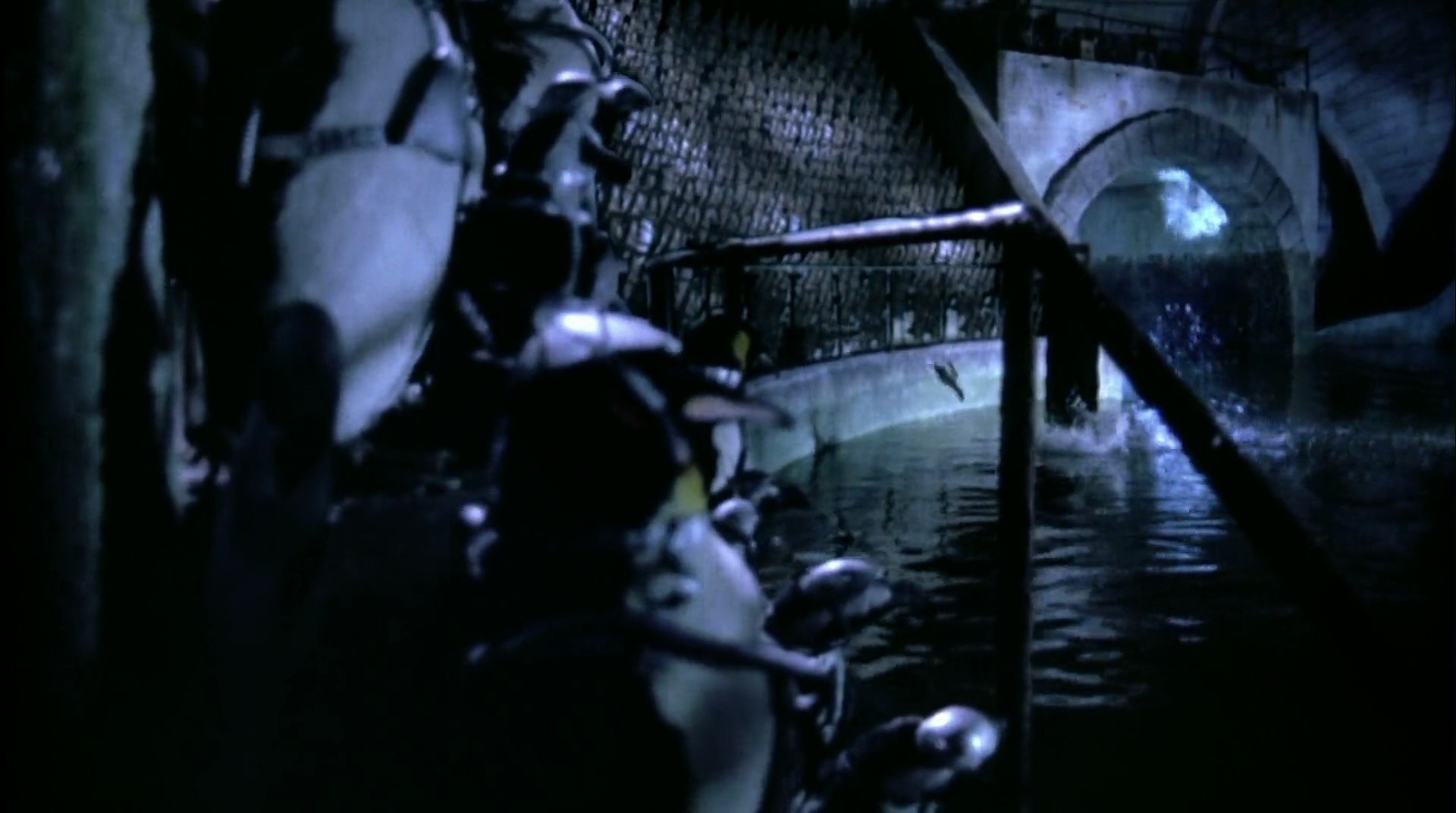 Shot 1528