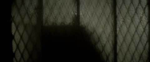 Shot 743