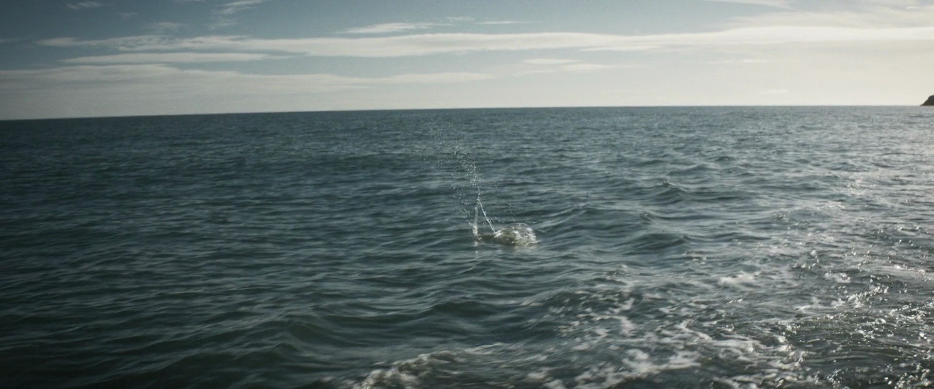 Shot 1129