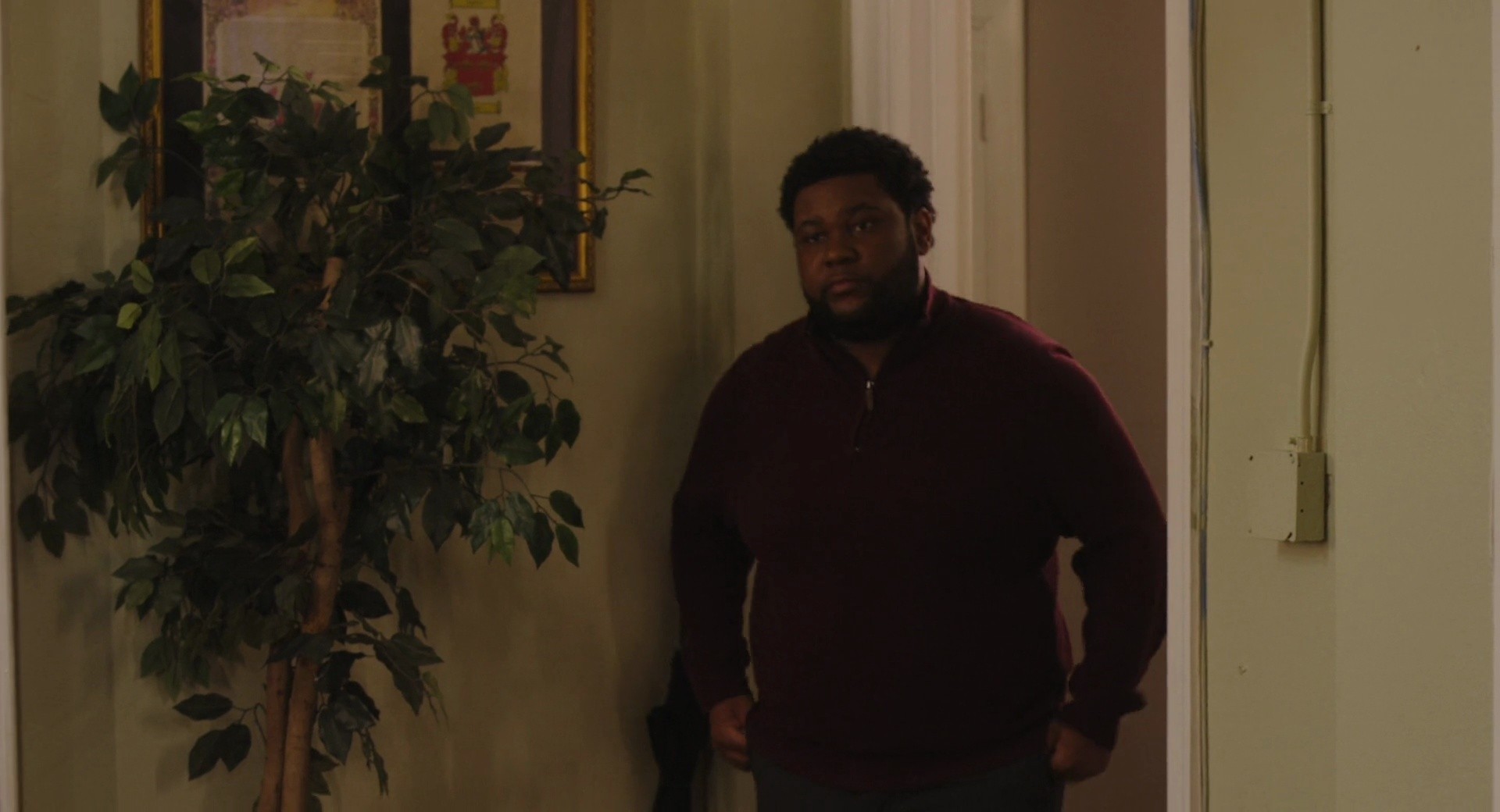Shot 981