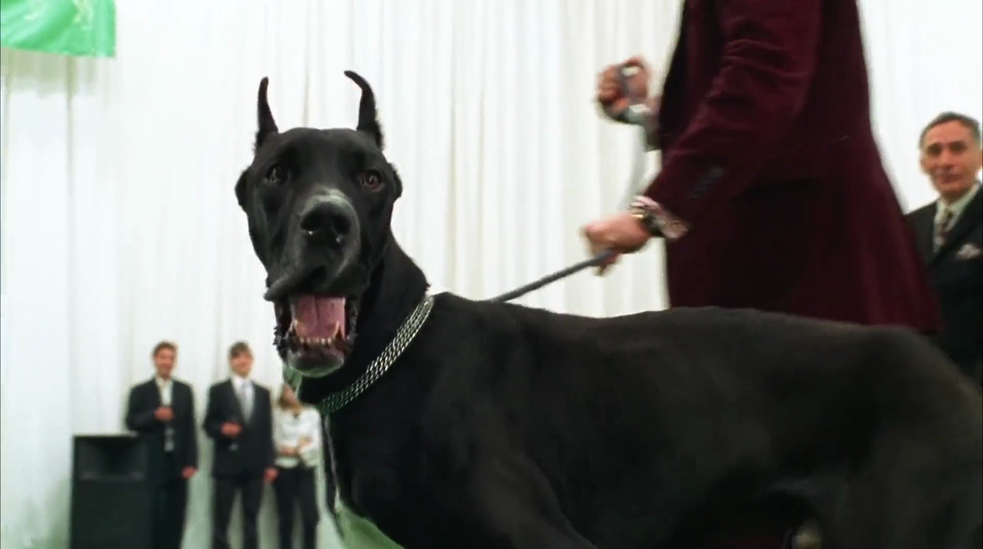 Shot 1229