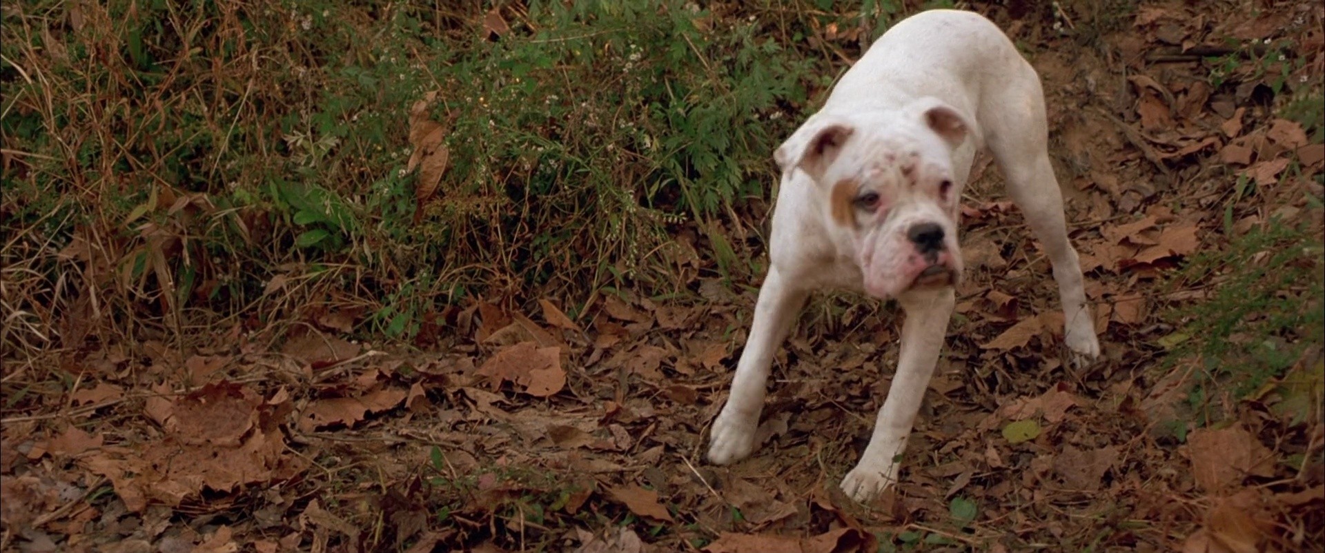 Shot 72