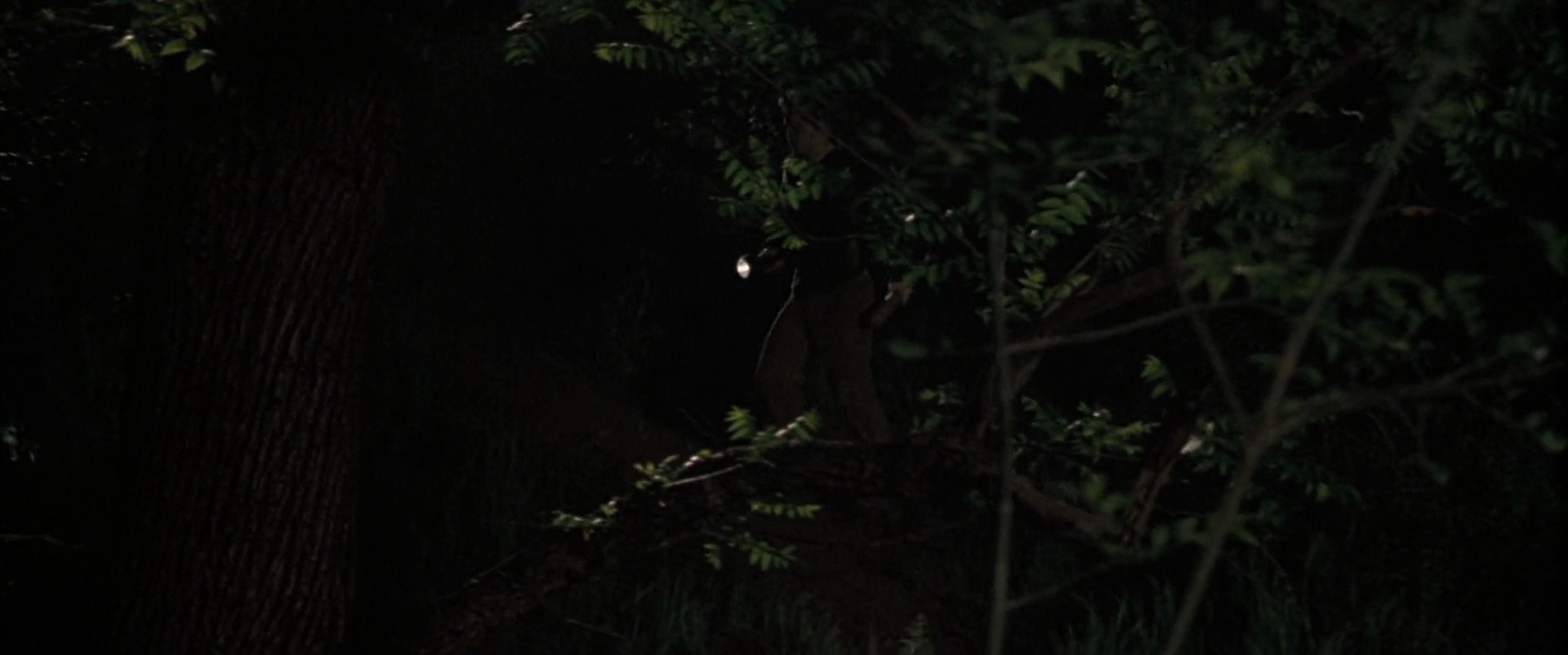 Shot 677