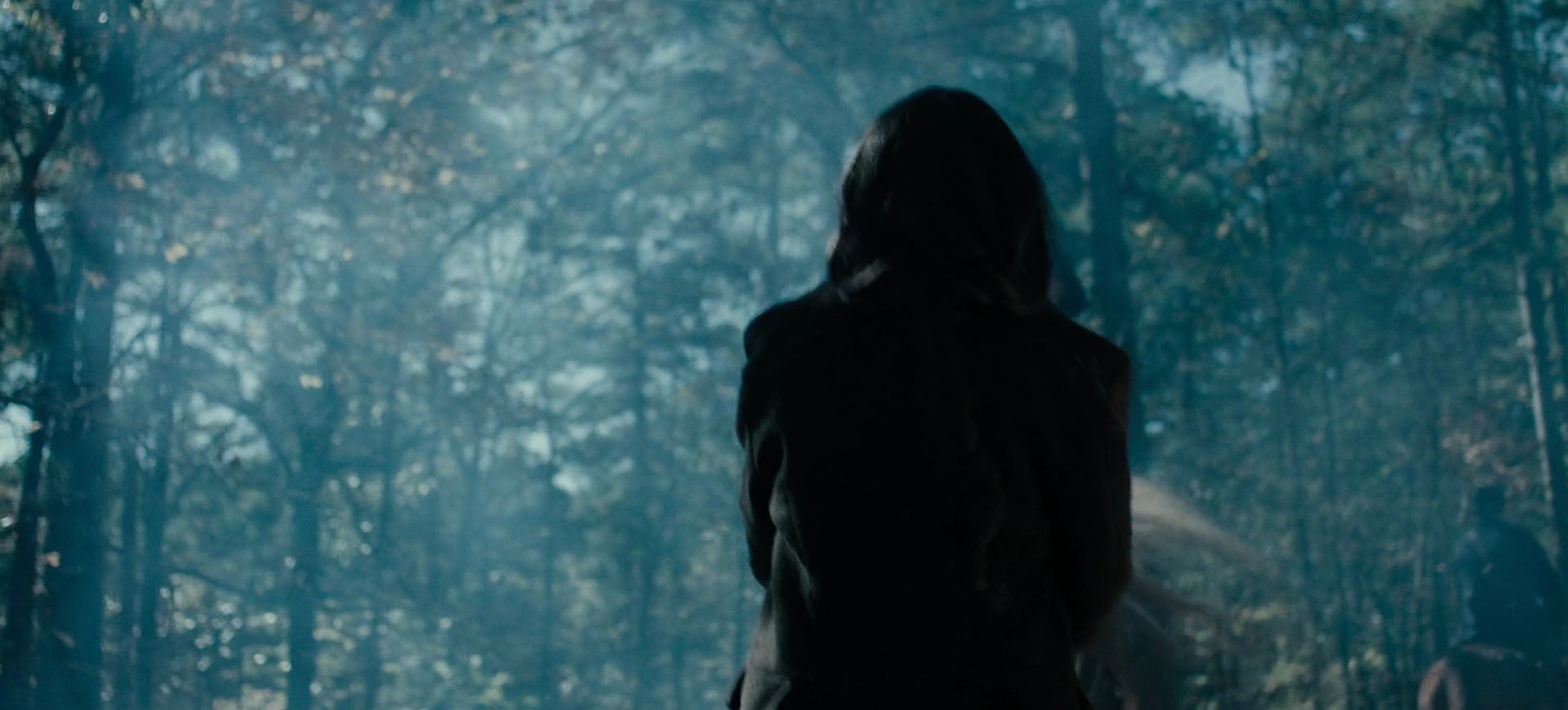 Shot 1078