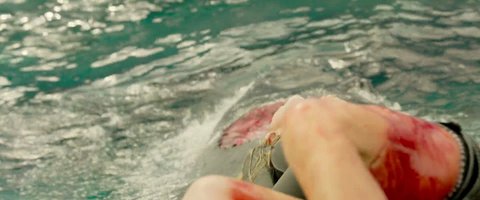 Shot 521