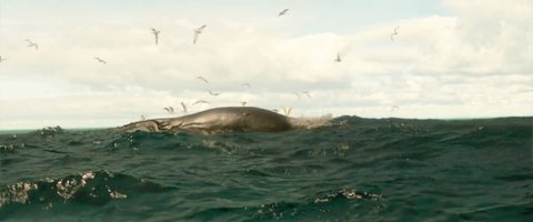 Shot 487