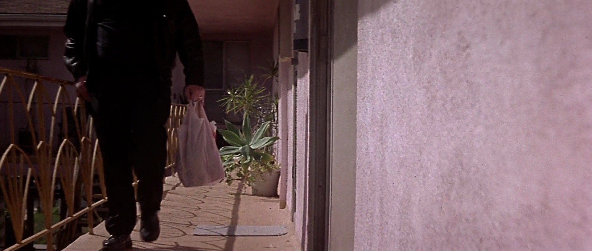 Shot 1003