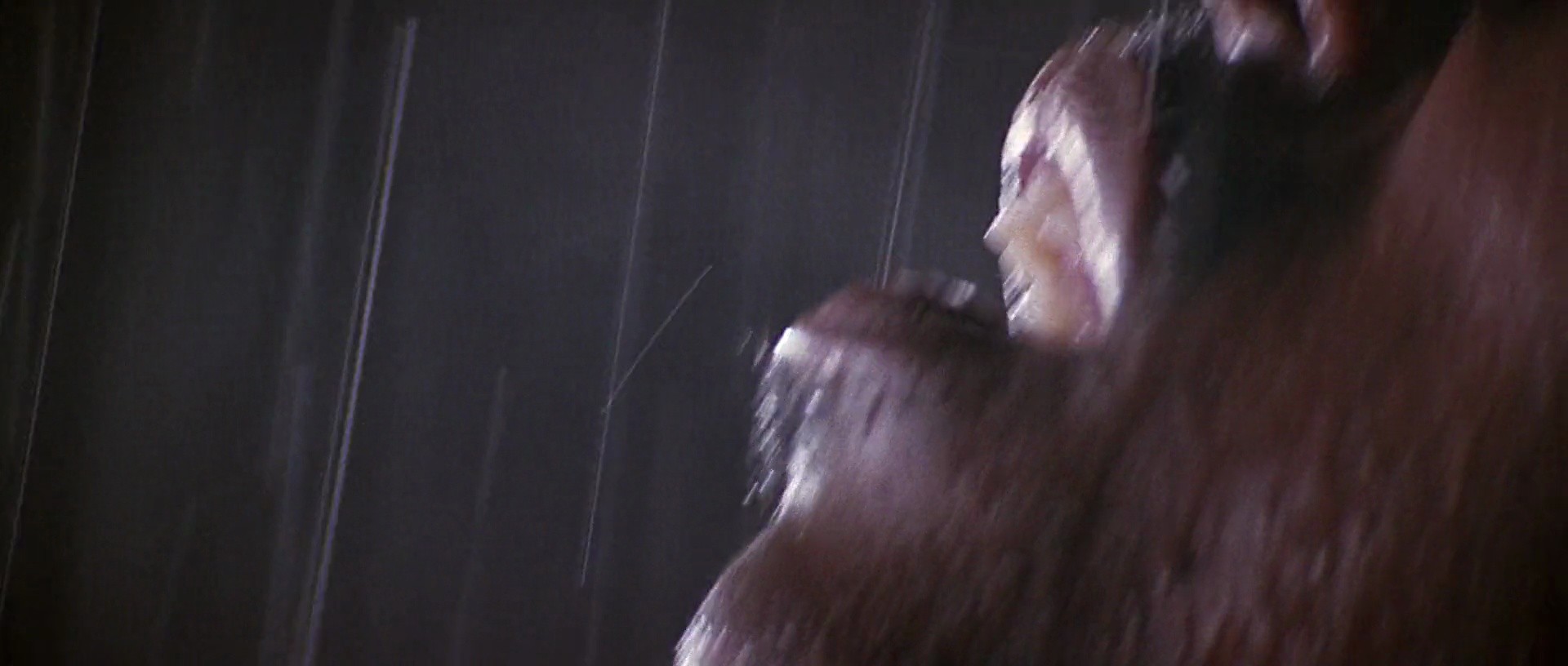 Shot 2460