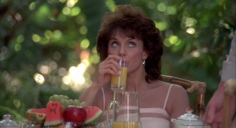 Shot 1246