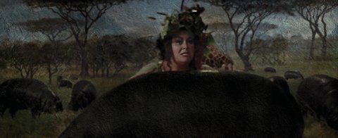 Shot 666